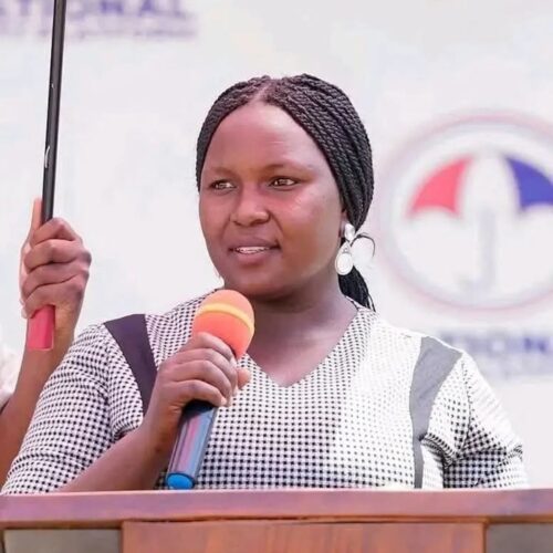 Ssaabawandiisi wa National Unity Platform David Lewis Rubongoya…