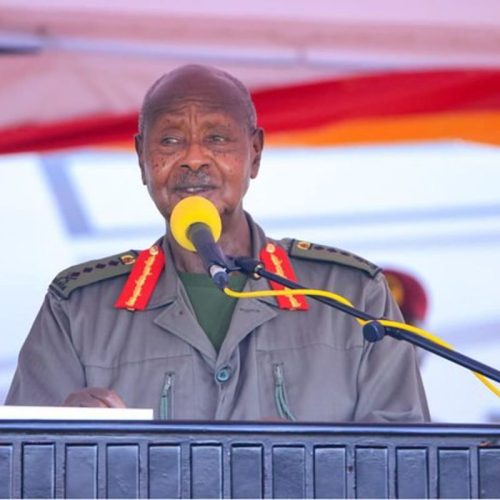 Pulezidenti Museveni wakutunda ente ze namata okufuna ssente obukadde 100 zagenda okuwa buli Mubaka